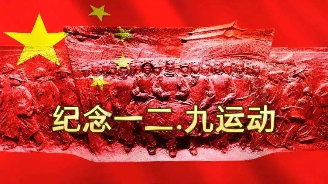 植物大战僵尸13