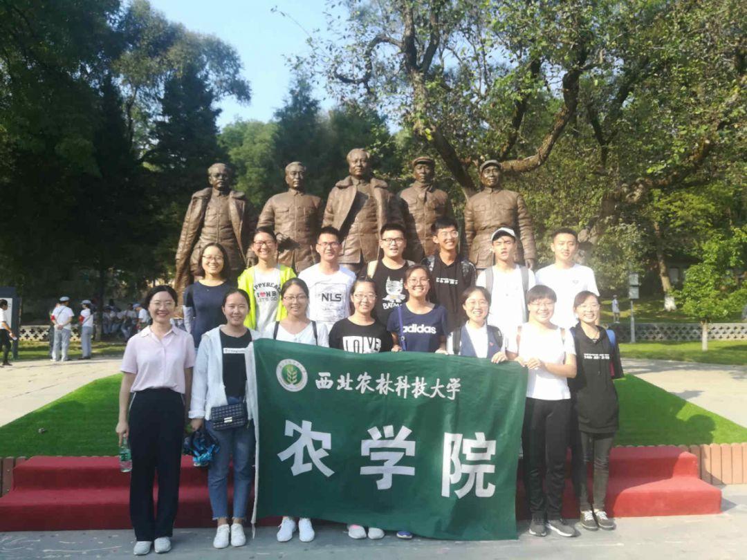 英语作文跑题了扣多少分？