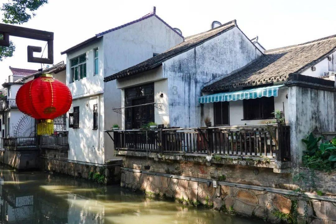 银河中动物逃生